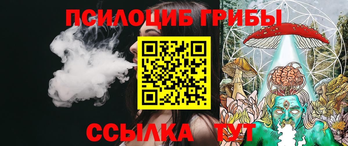 Борзя  Псилоцибиновые грибы Magic Shrooms  Вход с VPN 